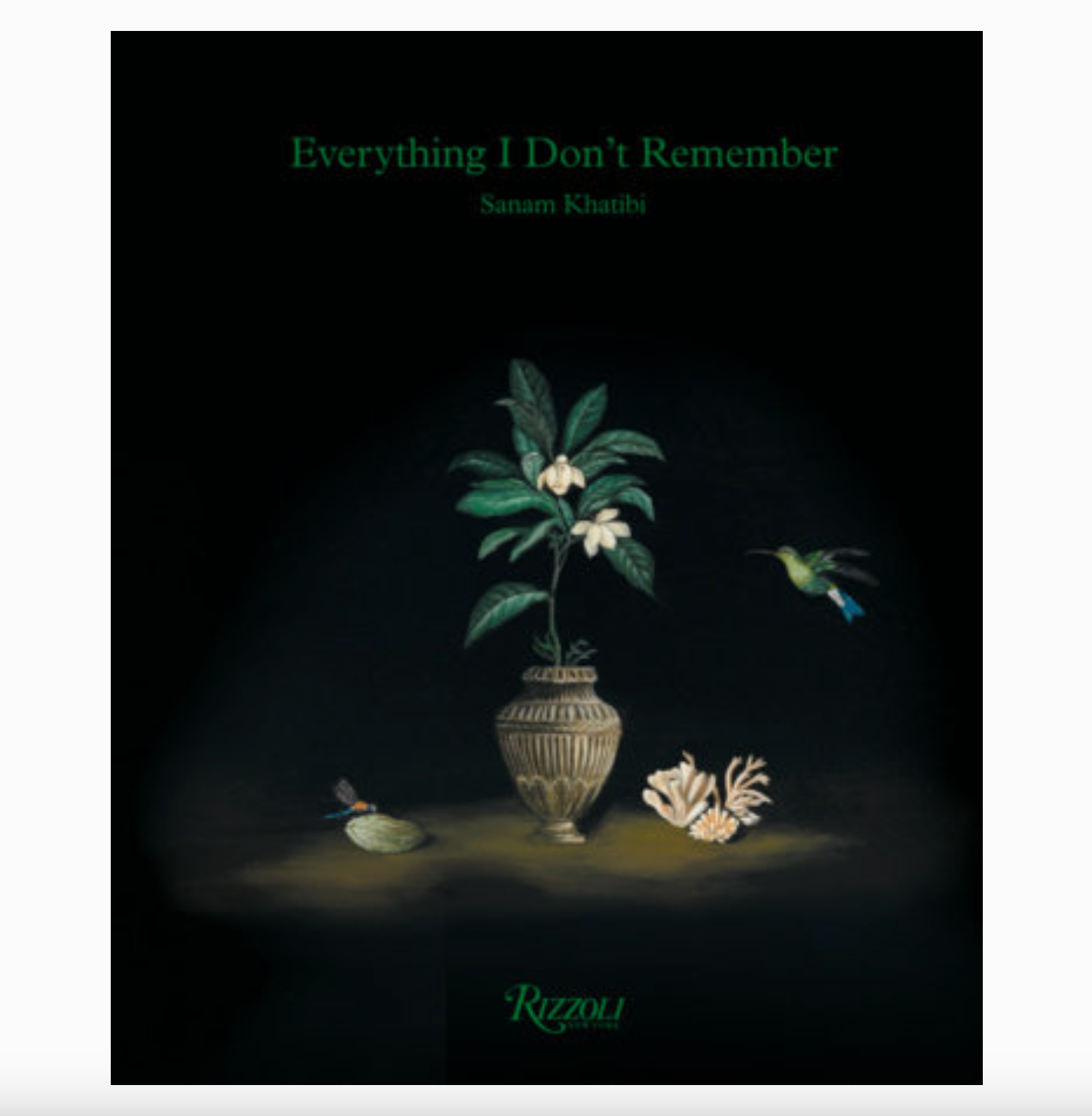 Sanam Khatibi - Everything I Don't Remeber
