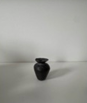 PHYTE | Black Vase