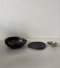 PHYTE  | Large Dish