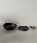 PHYTE | Medium Dish