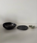 PHYTE | Small Dish