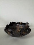 PHYTE | Torn Bowl