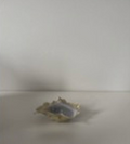 PHYTE | Mini Torn Dish