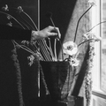 Ceramic Orchid Pot