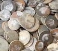 Ammonite Buttons