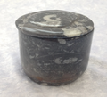 Fossil Boxes