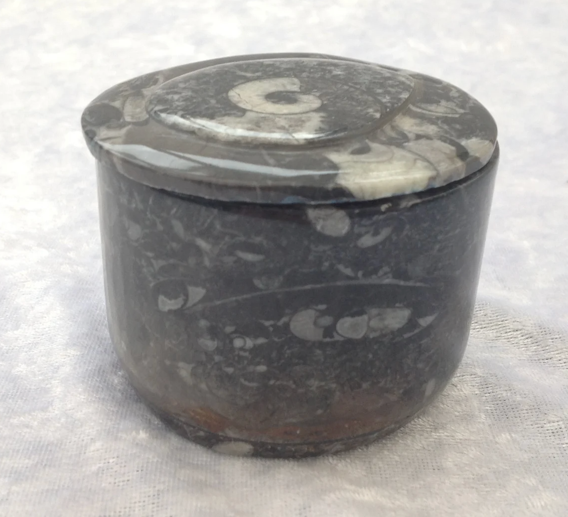 Fossil Boxes
